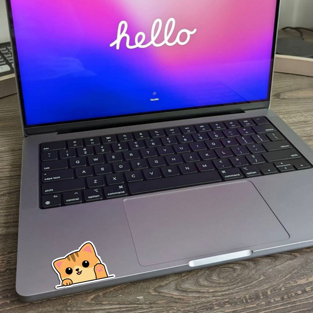 STICKER INTIP KUCING - STICKER LUCU KUCING - STICKER LUCU - STICKER LAPTOP KUCING - STICKER KUCING