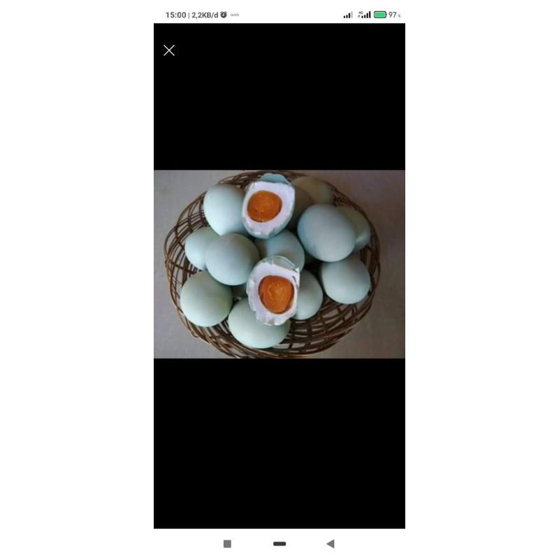 

TELUR ASIN MASIR