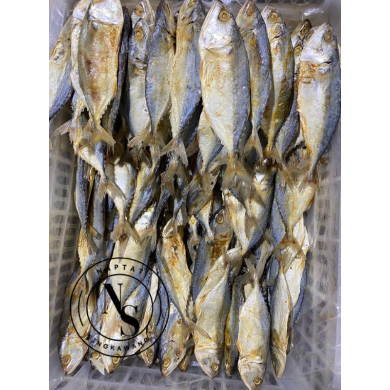 

IKAN ASIN GEMBUNG/IKAN ASIN GEMBUNG PUTIH 500gr