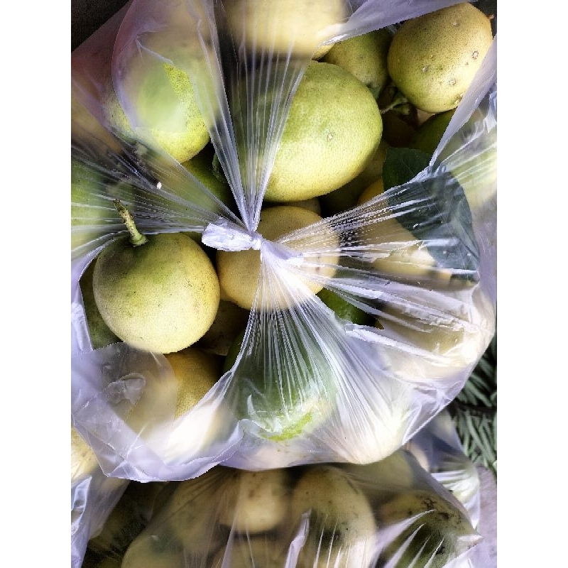 

Lemon Lokal
