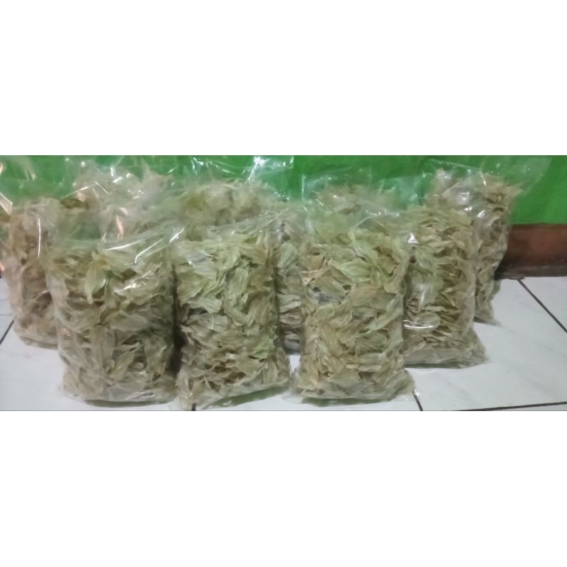 

ikan Trasak / Ikan Kalapan / Ikan bulu ayam