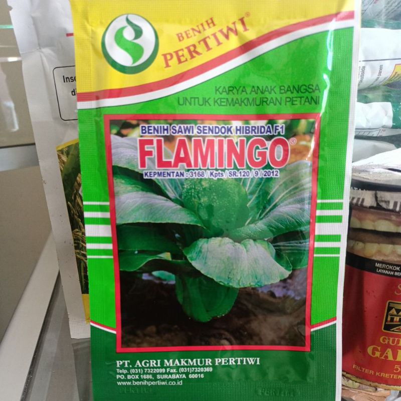 Benih Pakcoy Flaming-Flamingo benih sawi 10gr - Benih Pertiwi