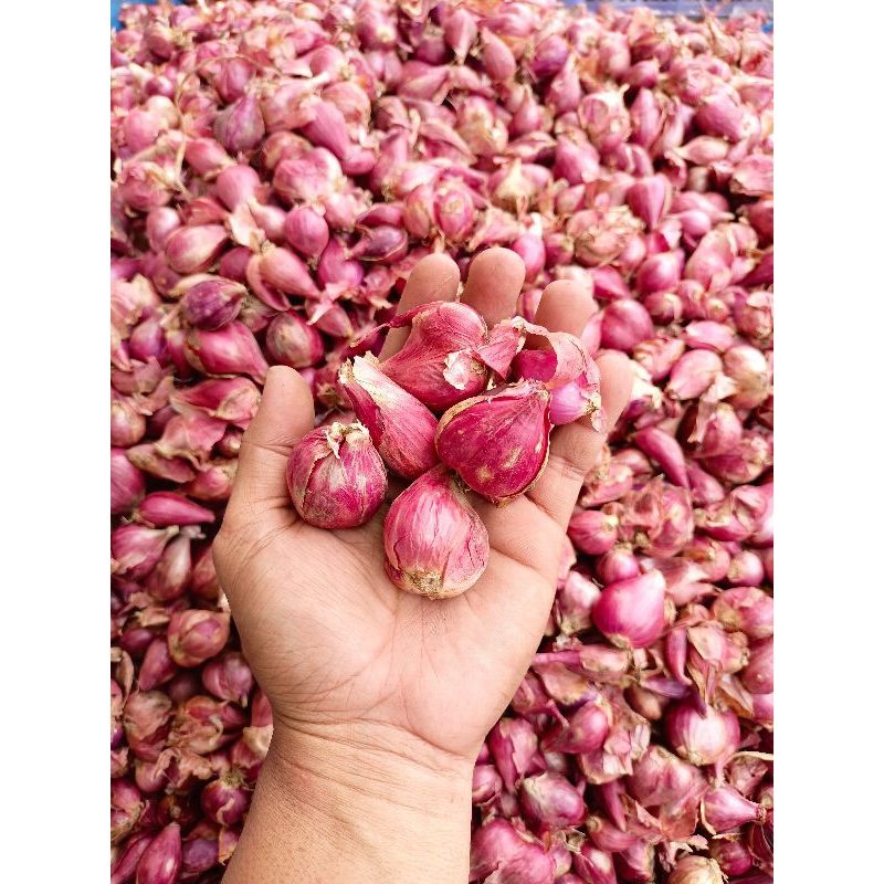 

Bawang merah 500gr