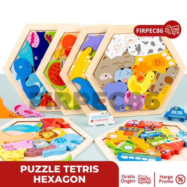 

Dijual Puzzle 3D hexagon animal angka anak Puzzle cocokkan bentuk kayu anak - MA 47 ANIMAL JUNGLE Limited