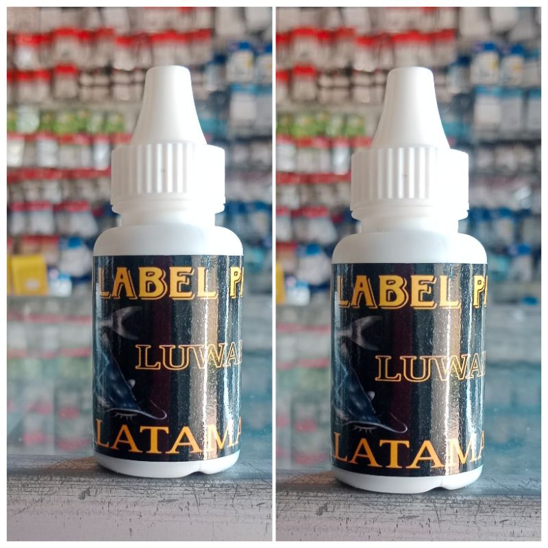 ESSEN LUWAK BY NO LABEL PANCING