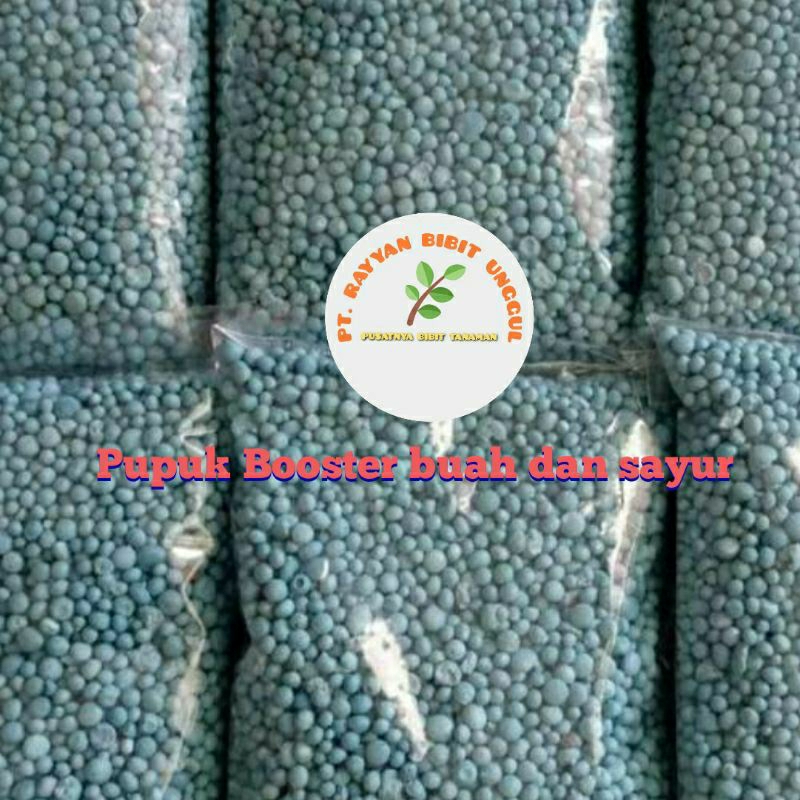 Pupuk perangsang buah pupuk booster buah