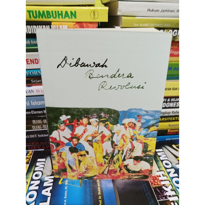 DI BAWAH BENDERA REVOLUSI JILID 1