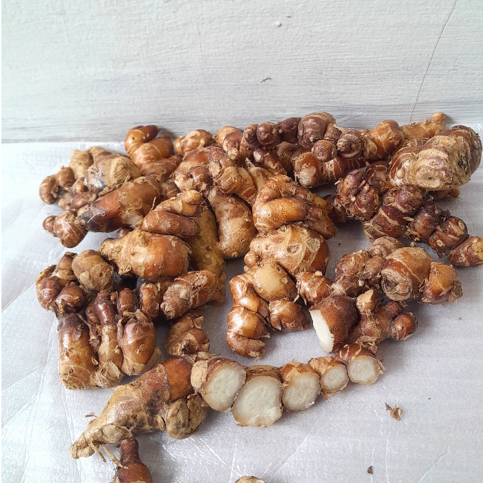 

Kencur Segar 500gram Cikur 500gram Tua Pilihan Premium Galingale 500gram Herbal Organik PROMO TERMURAH
