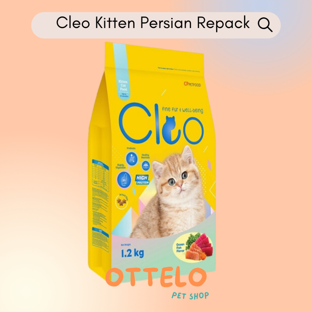 Cleo Kitten Persian Repack