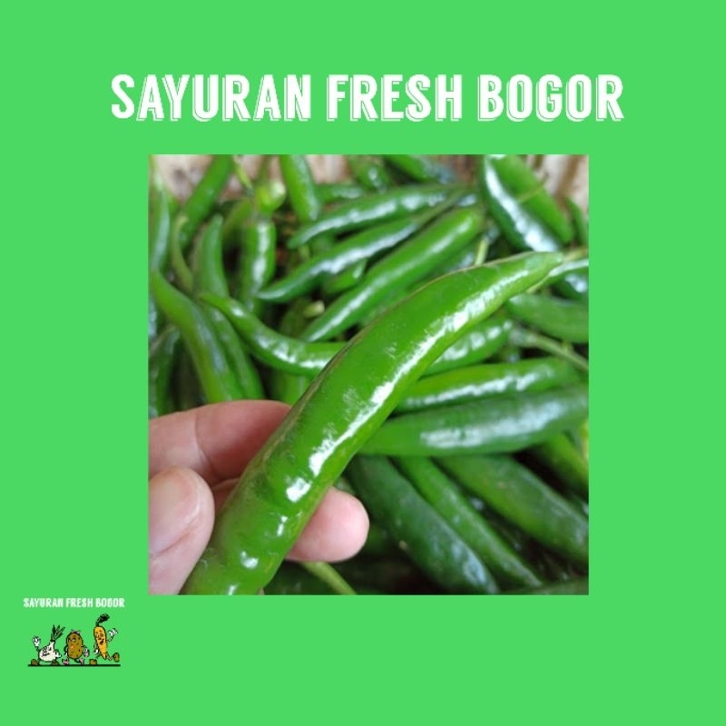 

Cabe Hijau Besar ( 250 Gram ) | Sayuran Fresh Bogor