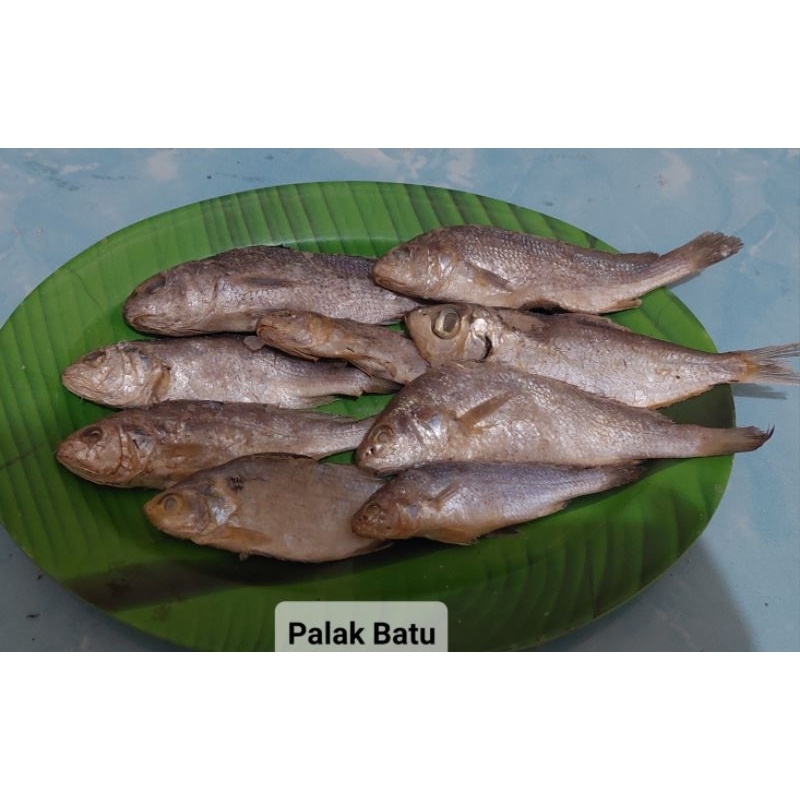 

IKAN ASIN PALAK BATU 500 g
