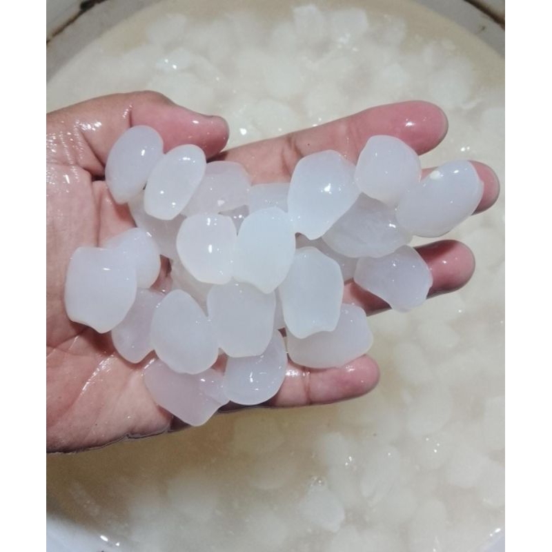 

Kolang - Kaling Seger Fresh Dari Petani