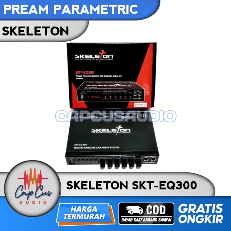 PARAMETRIC EQUALIZER PREAMP SKELETON SKT-EQ300