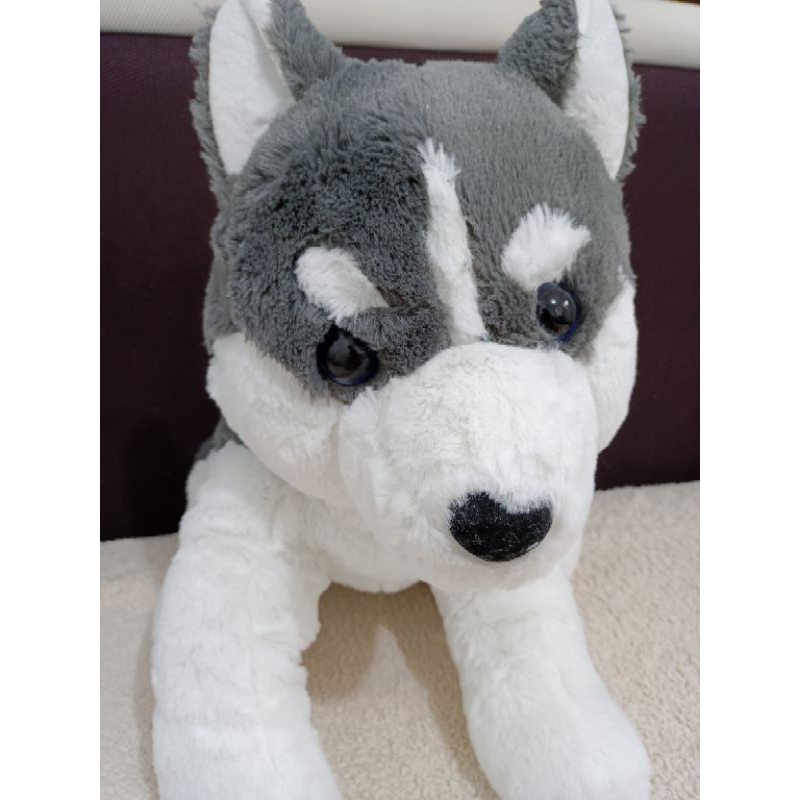 Boneka guguk lucu siberian husky 46 cm amuse toreba