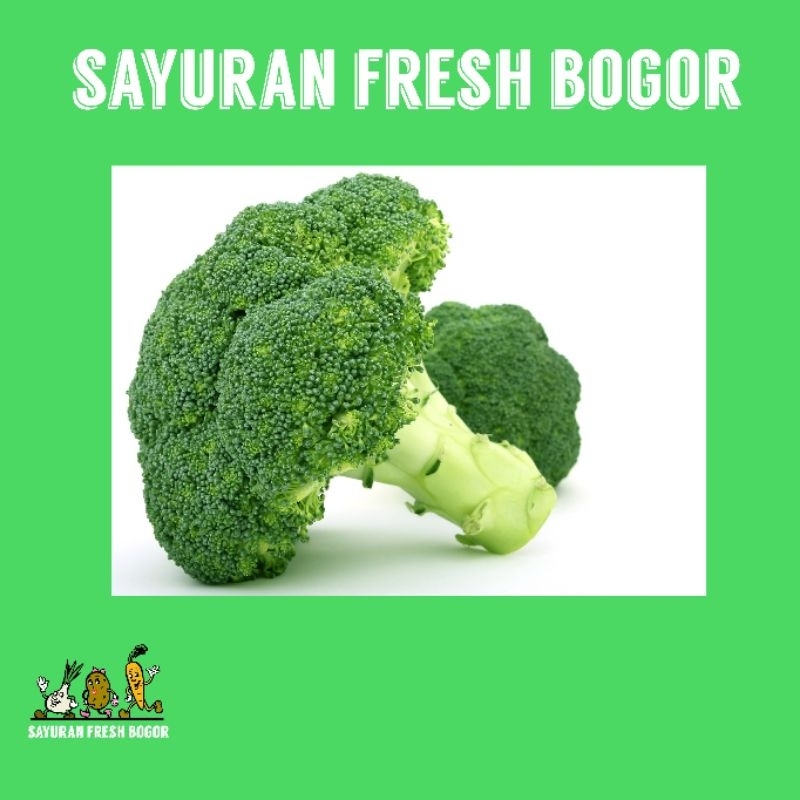 

Brokoli Hijau ( 500 Gram ) | Sayuran Fresh Bogor