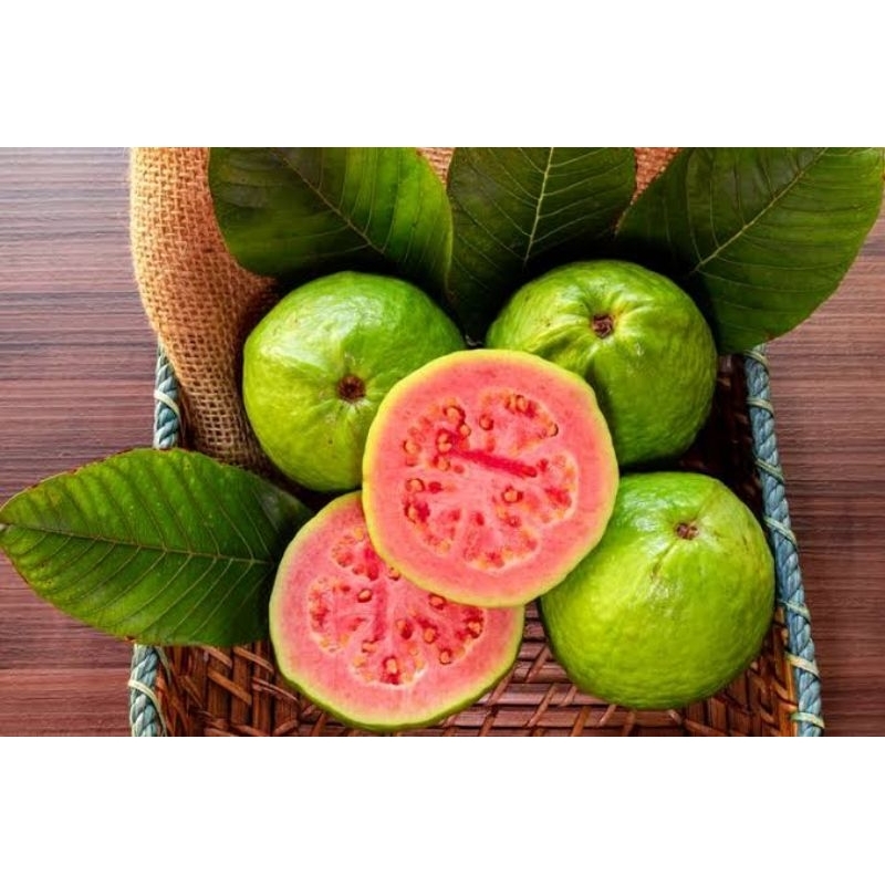 

Jambu Merah Biji 500 gram - 1 kg Surabaya Best Seller