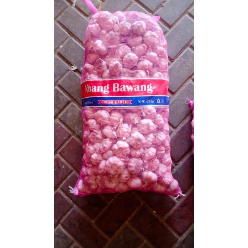 

bawang putih jumbo