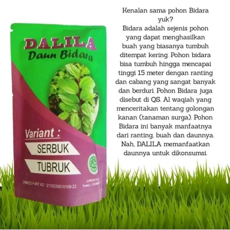 

daun bidara
