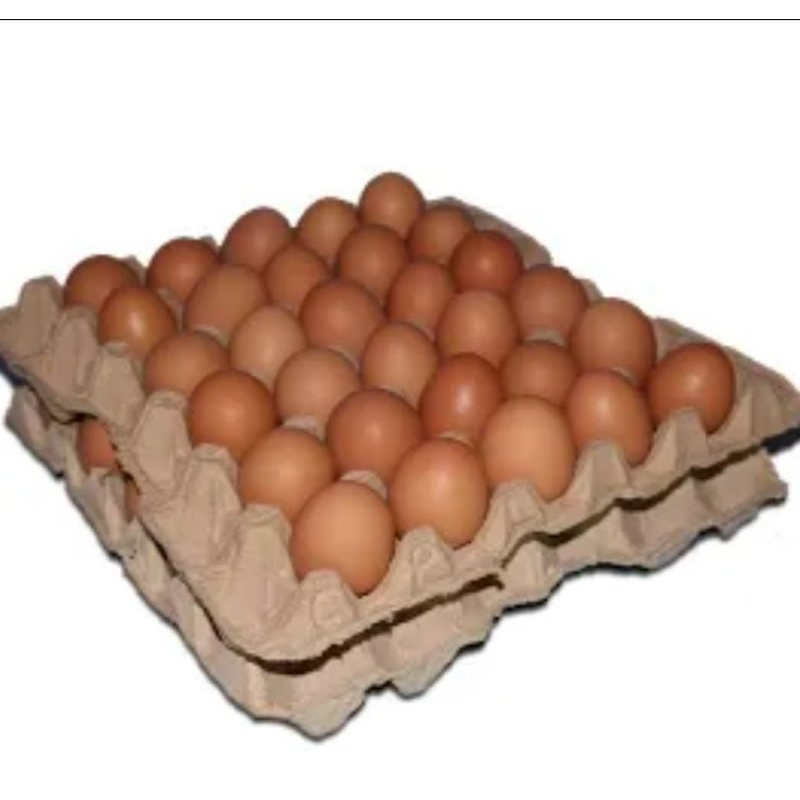 

telur ayam negeri