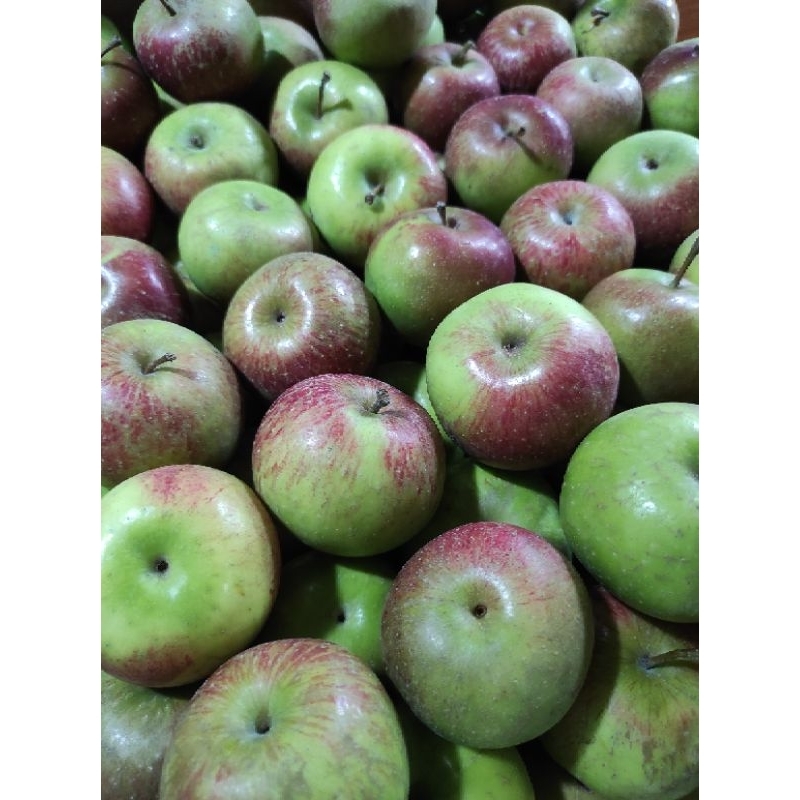 

apel malang fresh 500 gram