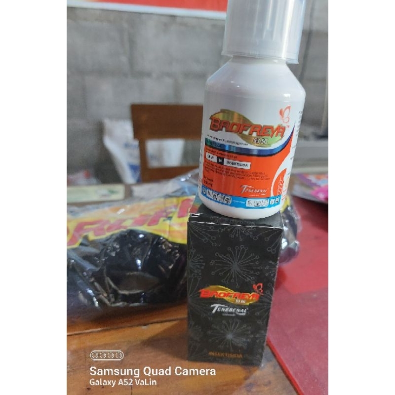 Brofeya insektisida free kaos cantik