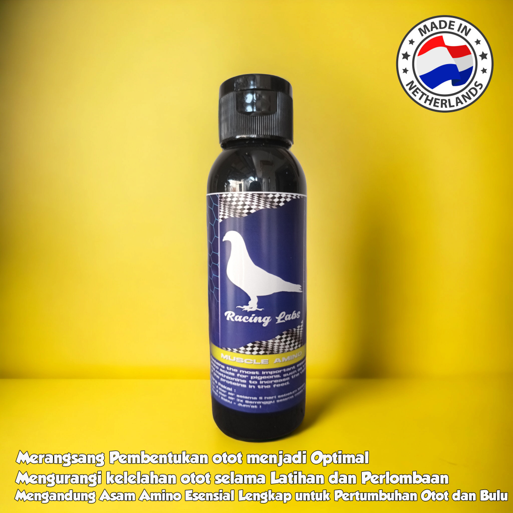 Muscle Amino Plus Suplemen Penguat Otot pada Merpati Lomba By Racing LABS