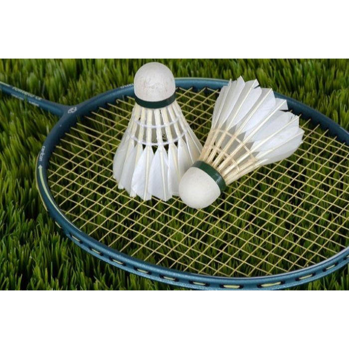 bola bulu tangkis shuttlecock kock kok badminton