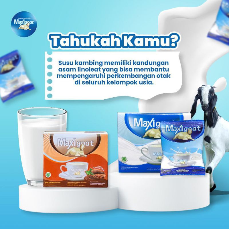 

susu kambing etawa maxigoat