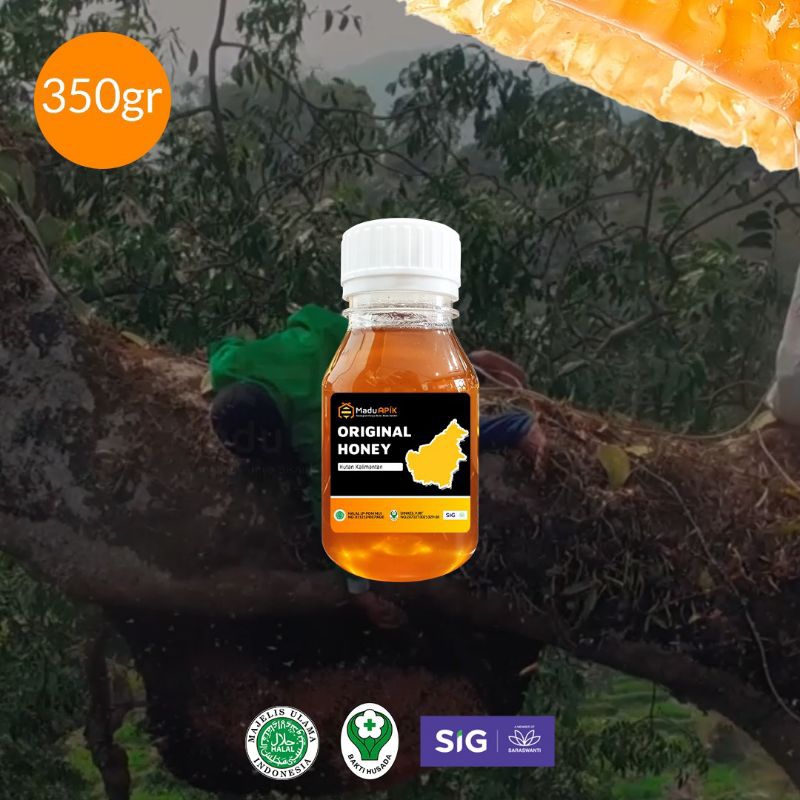 

Madu Asli Murni Hutan Kemasan Ekonomis 350gr