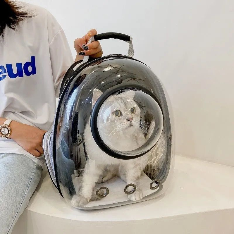 Tas Kucing Astronot Transparan | Ransel Hewan Tas Hewan Astronot Tas Travel Hewan