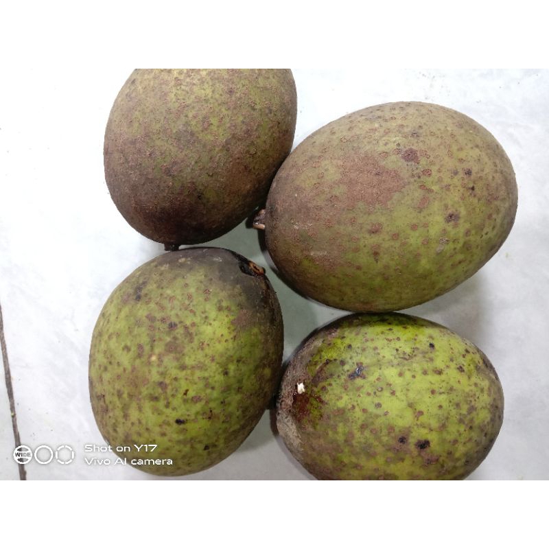 

BUAH BACANG ATAU BUAH LIMUS SEGAR PER 1 KG