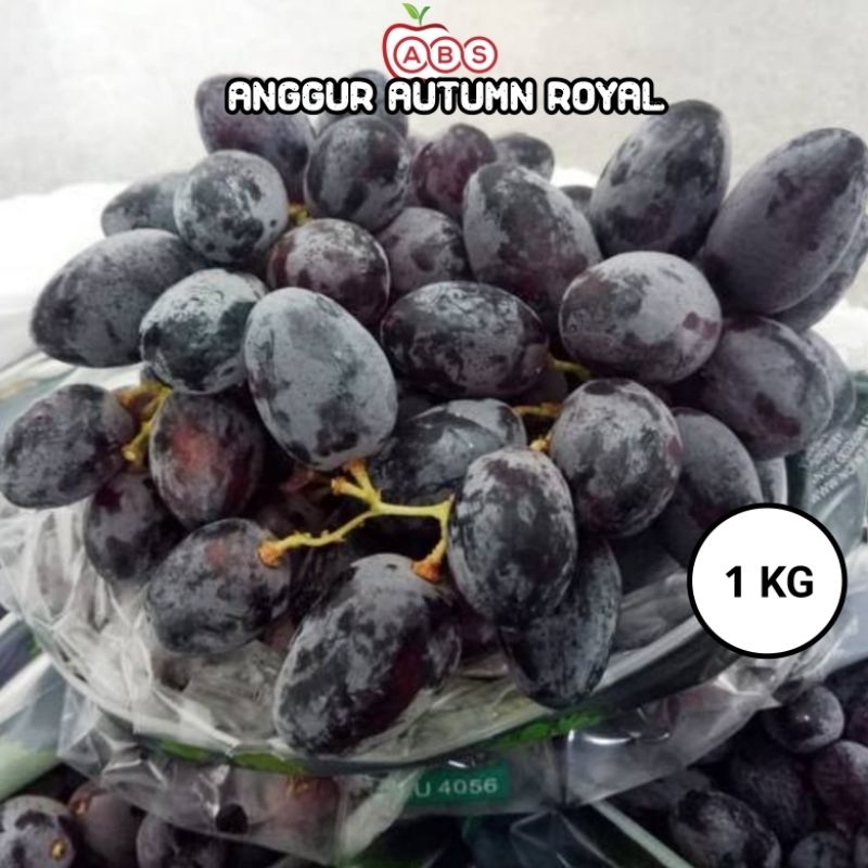 

Buah anggur autumn royal 1Kg AUS manis / ANGGUR AUTUMN Non biji manis 1 KG