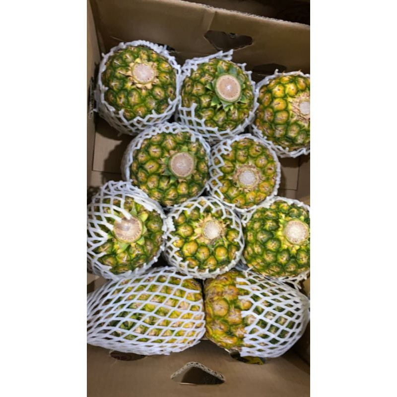 

QUEEN BUAH - BUAH NANAS MADU HONI / NANAS SUNPRIDE