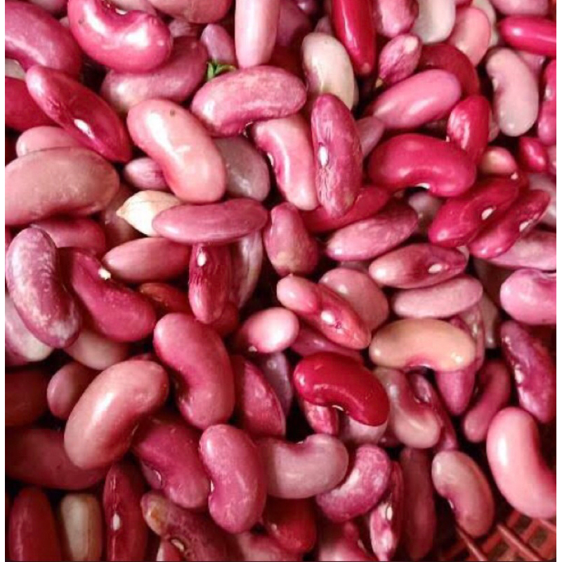 

KACANG MERAH 1/4 FRESH