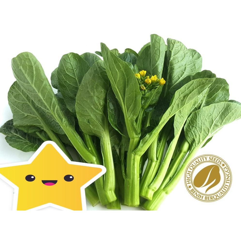 

Sawi Manis Choy Sum Chinese Flower Cabbage 100 gr