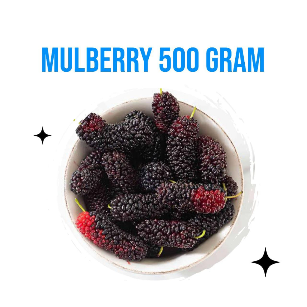 

MULBERRY FROZEN 500 GRAM / KIRIM HANYA DENGAN SAMEDAY-INSTAN