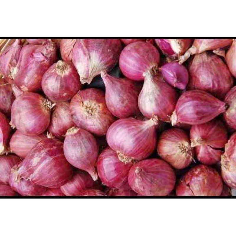 

Bawang merah brebes 1kg