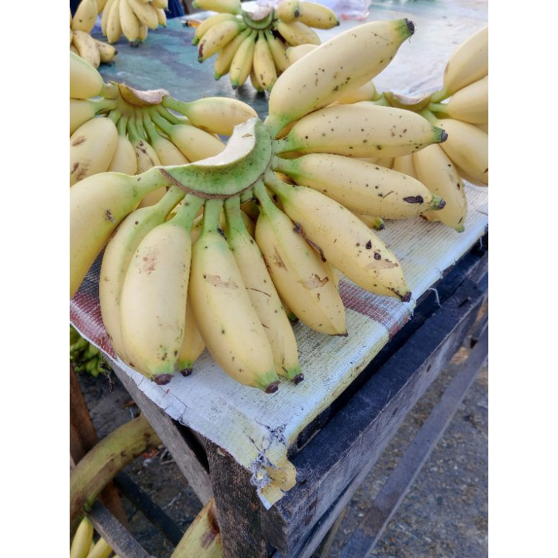

Pisang Manis / Pisang Bantan Per Sisir