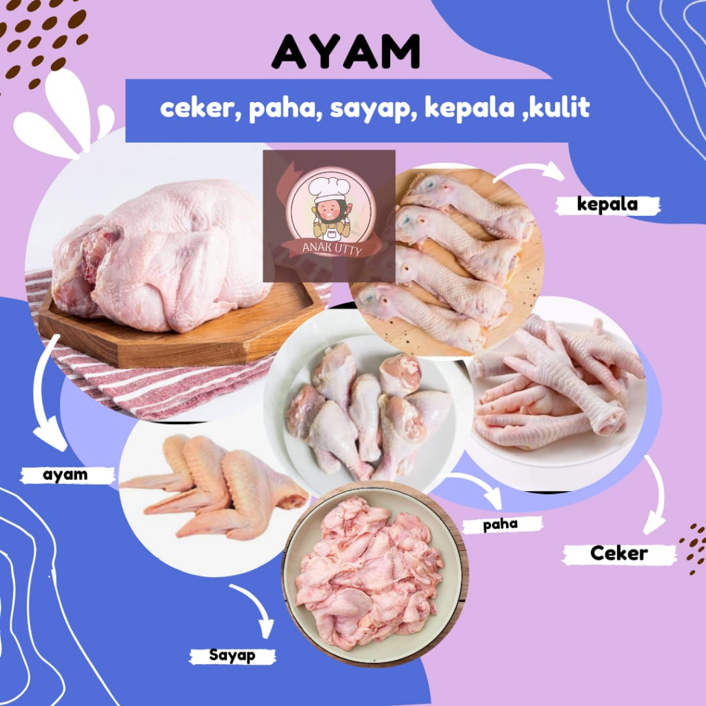 

AYAM BROILER POTONG/ UTUH, CEKER AYAM, DADA AYAM, PAHA AYAM, SAYAP AYAM, KULIT AYAM POTONG SEGAR