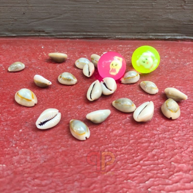SET BOLA BEKEL ISI 10PC KERANG ASLI