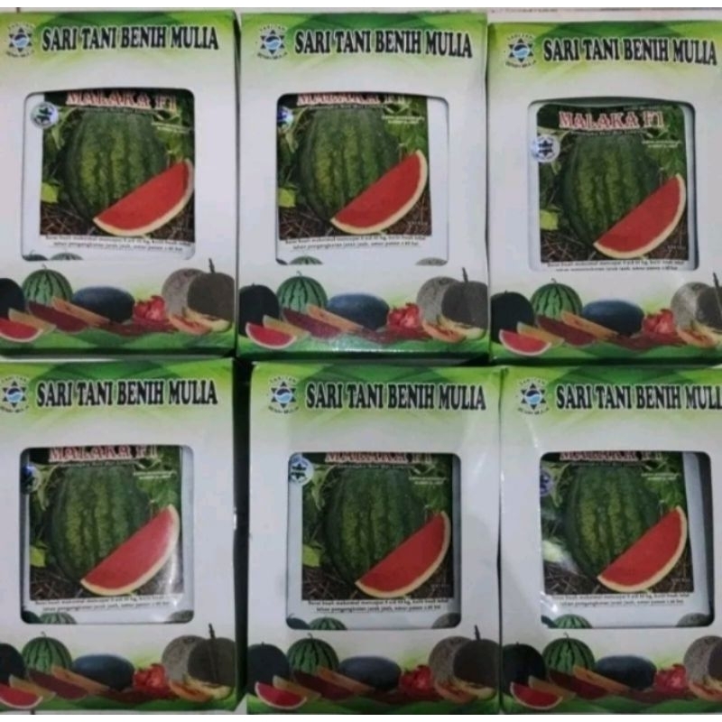Benih Semangka Malaka F1 Sari tani.