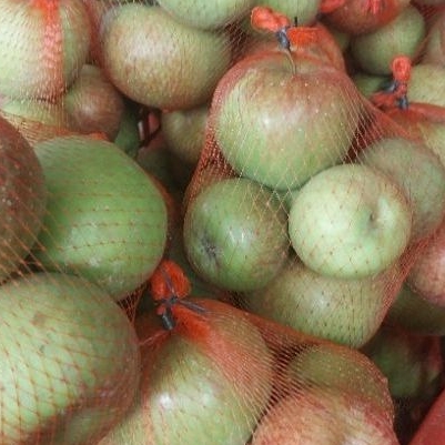 

Apel Rumbuty Malang - Apel fres malang