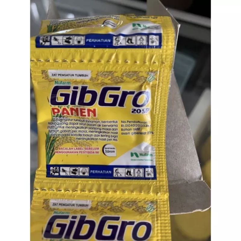 gibgro panen 20 sp