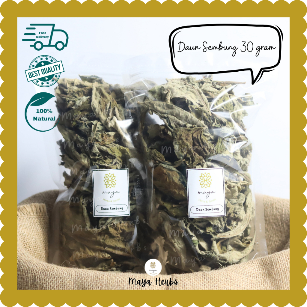 

Daun Sembung Kering 30 gram ( Blumea Balsamifera )