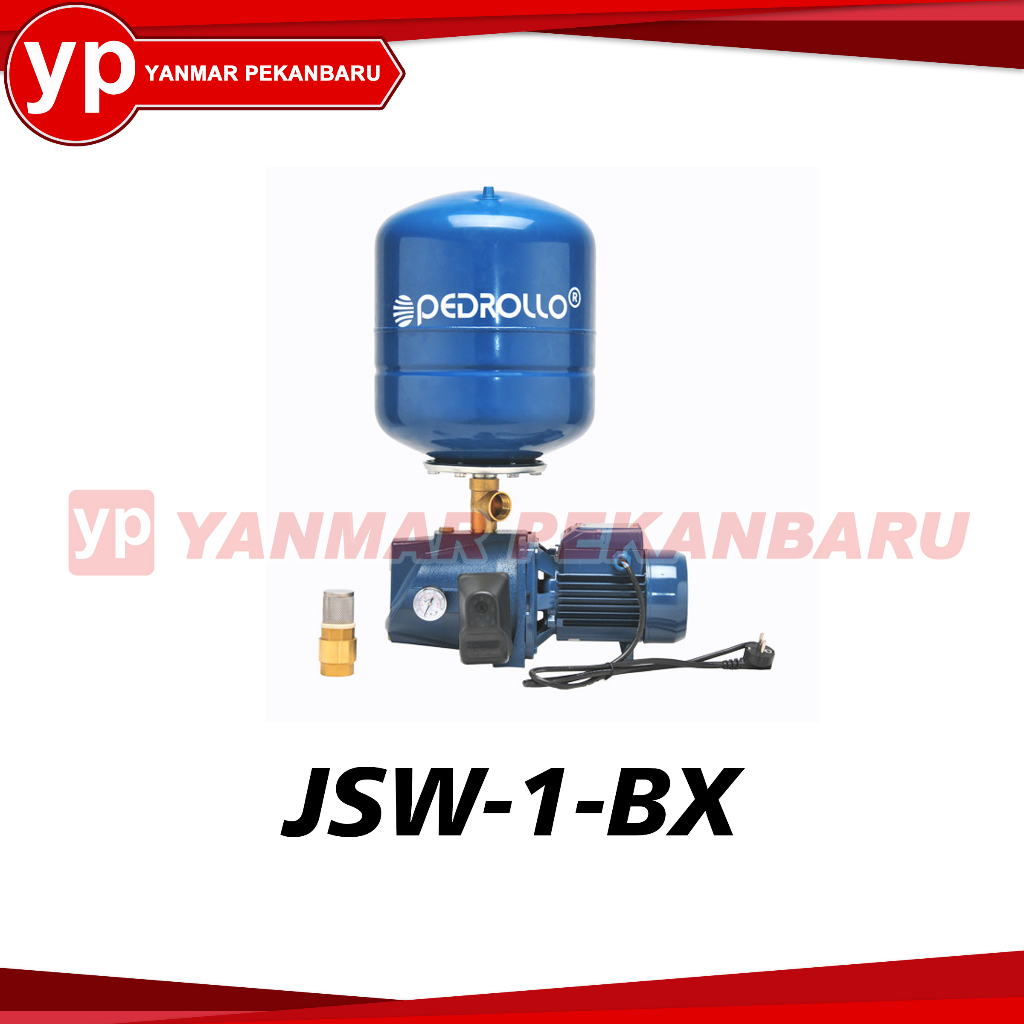 Pompa Air PEDROLLO JSWm 1BX Complete Set