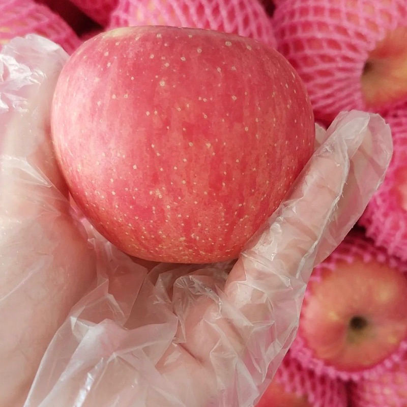 

Buah Apel Fuji 500 gr