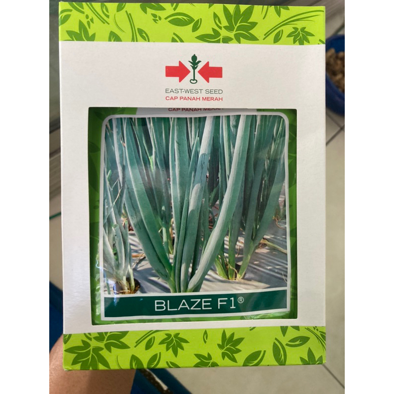 

benih bibit daun bawang BLAZE F1 10gr