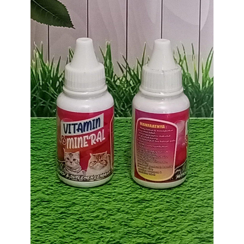 MULTIVITAMIN UNTUK KUCING