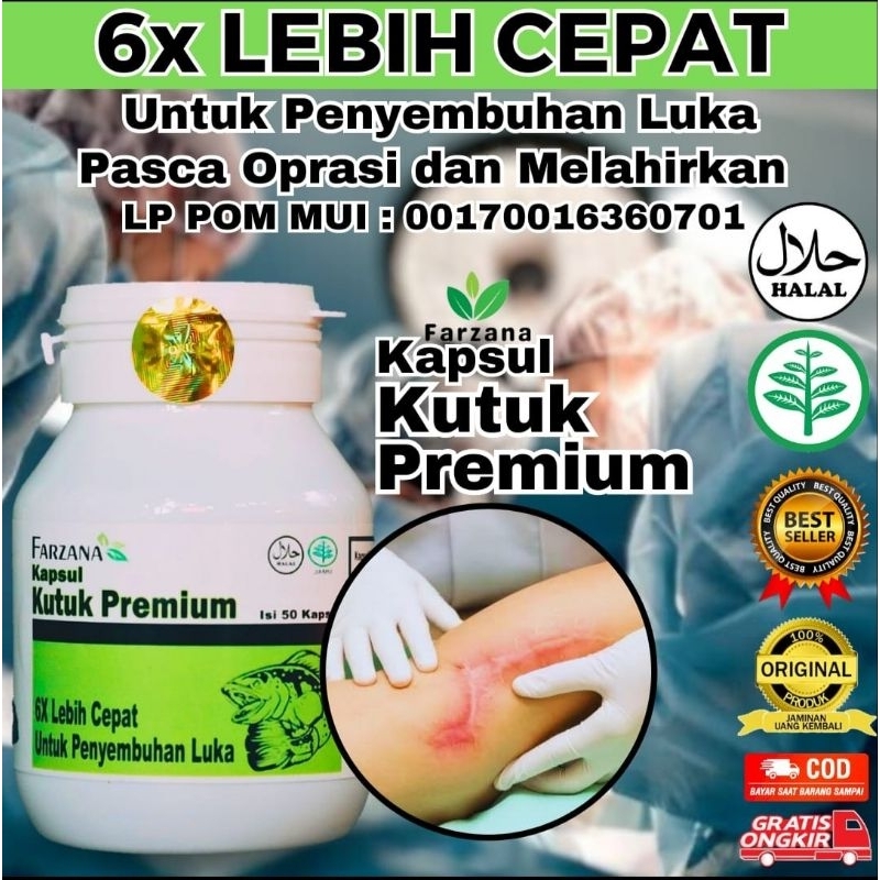 Farzana Kapsul Pil Kutuk Premium Pro Albumin Kapsul Gabus Original Pasca Operasi 6x Bekas Luka Diabetes Jahitan Cepat Kering