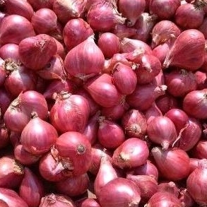 

BAWANG MERAH 250gr